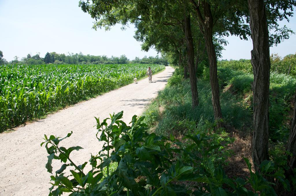 Cascina Delle Mele Panzió Vittuone Kültér fotó
